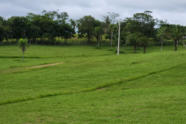 complejo-campestre-urubo-3-2926B1D9F-9A6A-79F7-FB7A-401BE5D80C19.jpeg